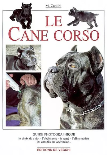 Cane corso micaela cantini - cane, corso,