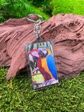 Porte-Clés 3D Perroquet En