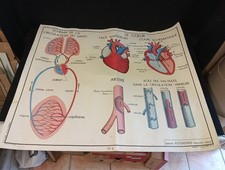 1950 AFFICHE SCOLAIRE