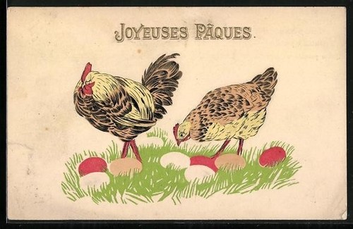 Poule coq avec oeufs de - coq,