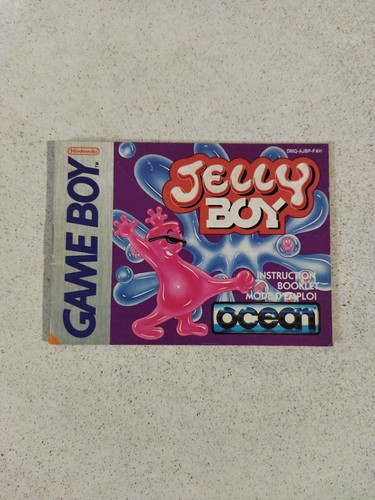 Notice jeu nintendo game - du,