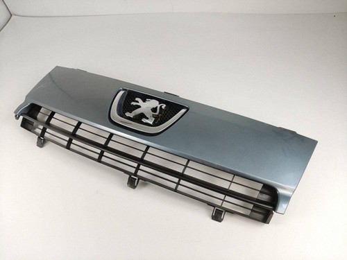 Peugeot expert 2011 grille - expert,