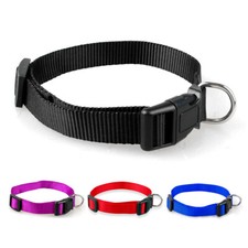 Nylon Collier de chien