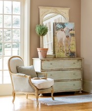 Canvas Print Charolais Cow