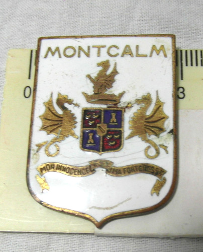 Insigne marine fnfl france - insigne,