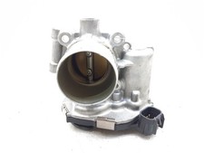 55565489 corps de papillon