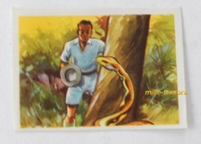 Image CHROMO Chocolat