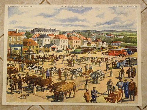 Affiche scolaire rossignol - scolaire,