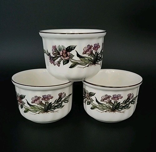 Ramekins botanica by - 3,