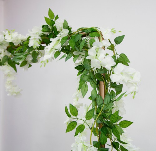 Glycine verdure guirlande - verdure,