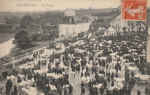 Charolles foire bétail - -, la