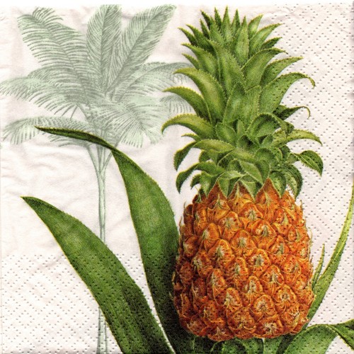 Serviettes papier fruit - en,
