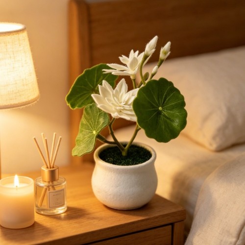 Plante nénuphar - de,
