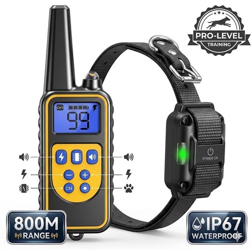 Collier dressage chien - collier, 800m