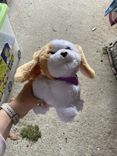Animatronic chien