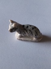 Fève Petit Chat Européen Tachete