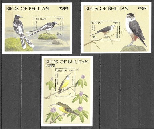 Bhoutan oiseaux rapace faucon - rapace,