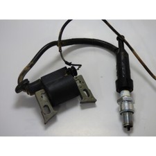 BOBINE ALLUMAGE MOTEUR BERNARD BM1813001 (1) - MOTEUR BERNARD BM1813001 (1)