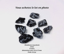 Lot Obsidienne mouchetée