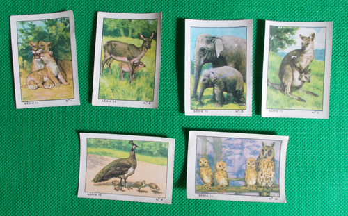 Lot images album nestlé - images,