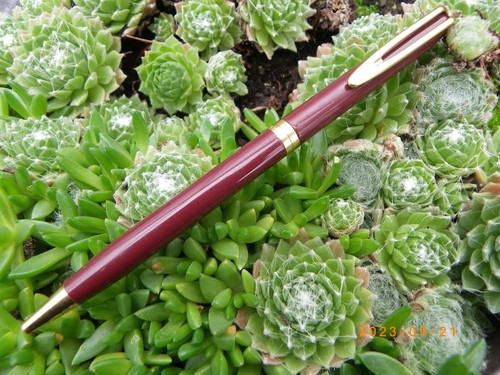 Ancien stylo bille - stylo, waterman