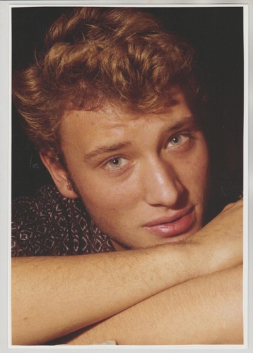 Johnny hallyday n 951 - hallyday,  