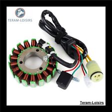 Stator Allumage pour Husqvarna