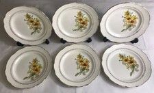 Lot2 De 6 Grandes Assiettes