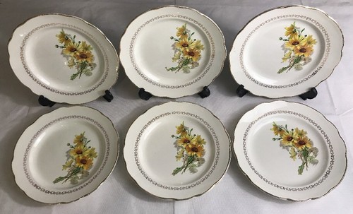 Lot2 grandes assiettes - lot2,