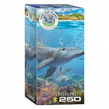 Puzzle - Dauphins - 250