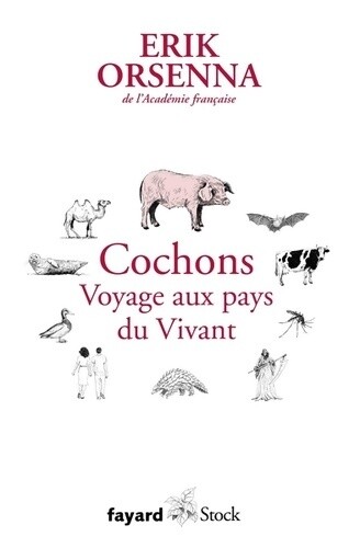 Cochons voyage aux pays du - cochons.,