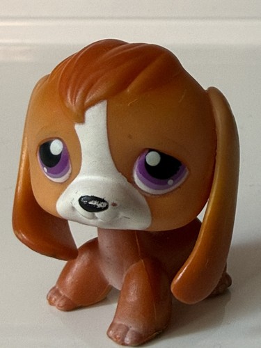 Authentique lps littlest - authentique,