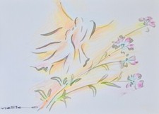 Claude VIETHO - Peinture originale - Aquarelle - Colombe