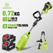 Souffleur de feuilles