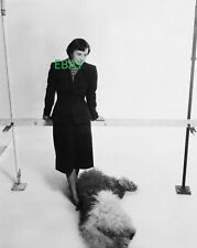 Photographie de FLORENCE KNOLL