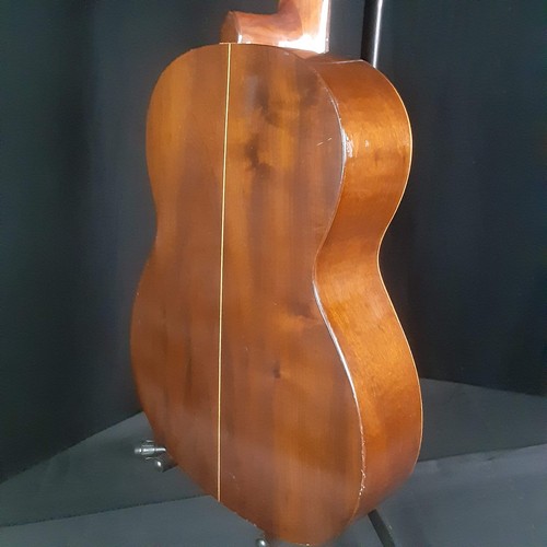 Giannini classical guitar - giannini,