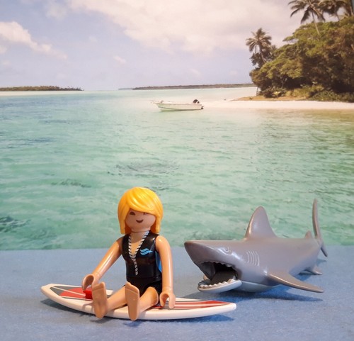 Playmobil halloween surfeur - playmobil,