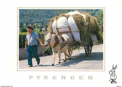 Carte postale animaux - carte,