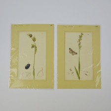 2 X Curtis Pression -