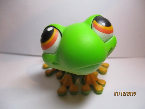 Petshop grenouille - petshop,