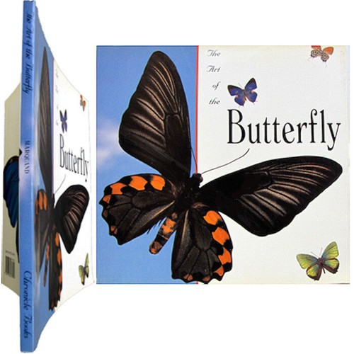 Art the butterfly ed - art,