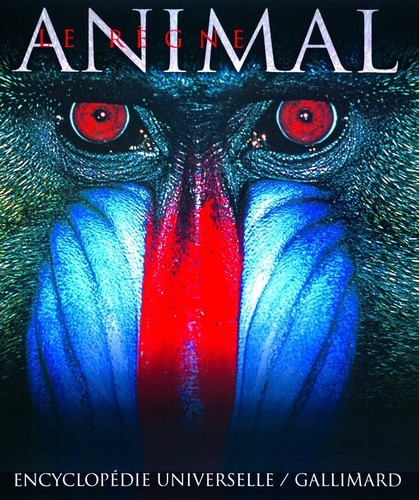 Règne animal édition - animal,