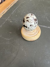 Pour cabinet de curiosités Oeuf de caille avec socle en buis 