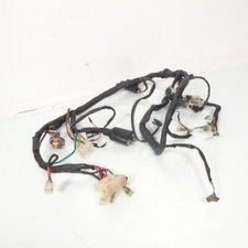 Faisceau électrique origine pour moto Daelim 125 Roadwin FI 2007 à 2010 Occasion