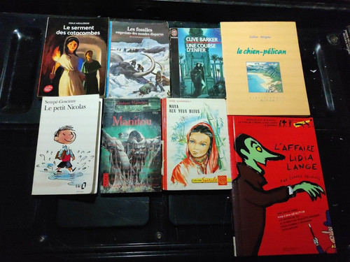 Lot livres bd - de,