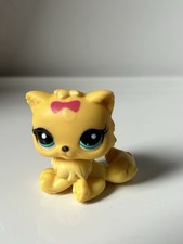 Petshop Chat  Persan 3566