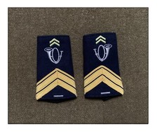 ww2 Chasseur Alpin BCA Ski