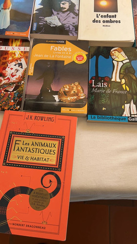 Lot livres poche série - de,