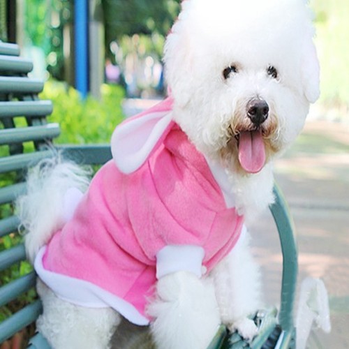 Costume chien vetement - vetement, petit