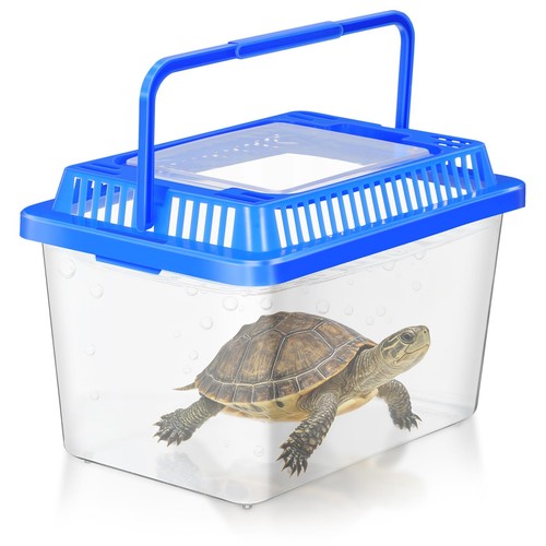 Gatuida turtle carrier fish - carrier,